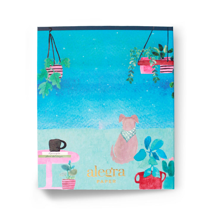 Planner Finanzas - alegrapaper